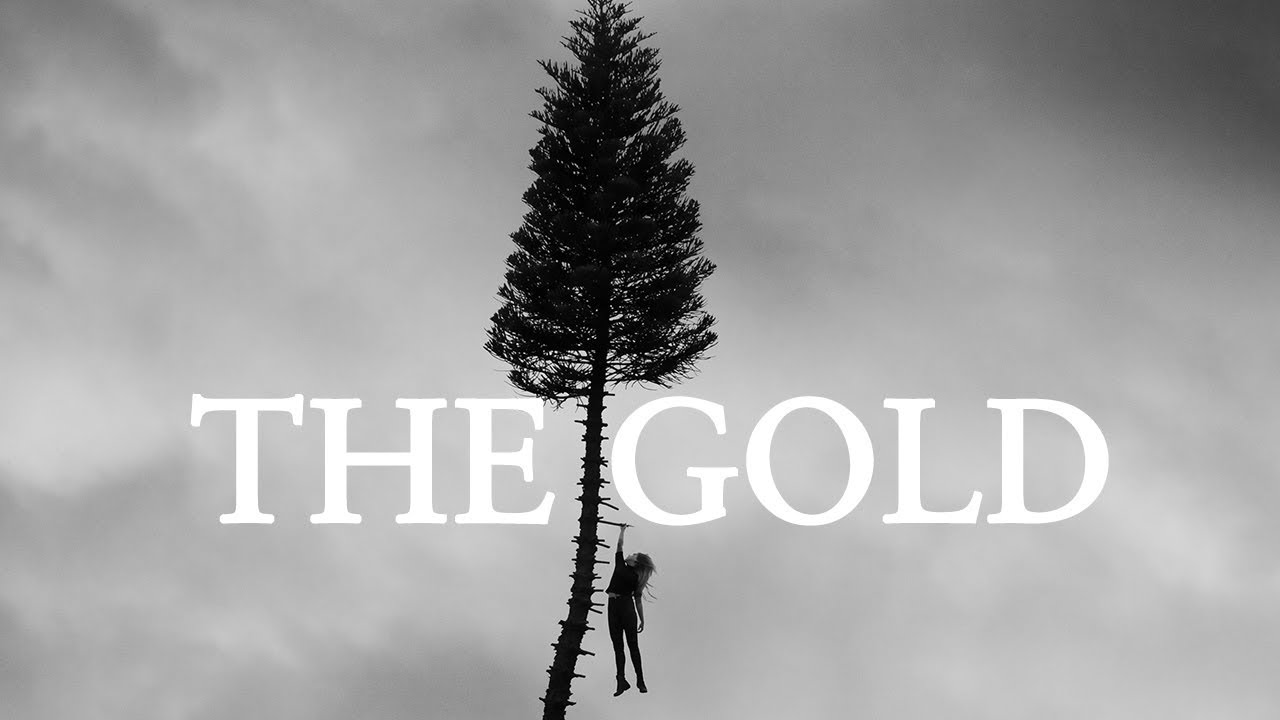 Manchester Orchestra - The Gold (Official Video) from A Black Mile To The  Surface 