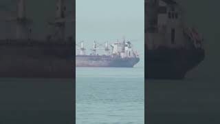 Ships Begin Crossing Hormuz Under Iranian Coordination shorts
