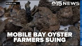 Oyster farmers blame dredging for muddy mess and alarming oyster deaths in Mobile Bay - WPMI NBC 15