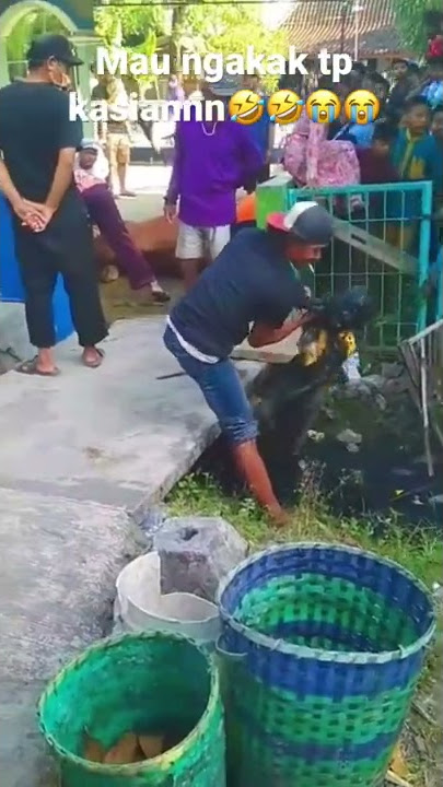 Video lucu bocil kecebur got, mau ngakak tapi kasian🤣😭