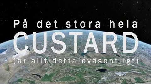 Custard - In The Grand Scheme Of Things (None Of This Really Matters) (Official video)