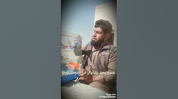 تلاوه محمود ابو حفص يضيق صدرك