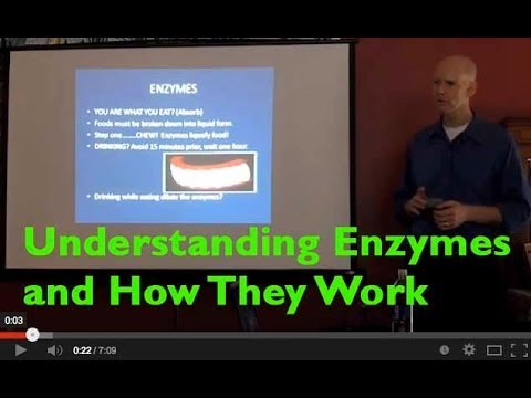 Understanding Enzymes and Digestion - YouTube