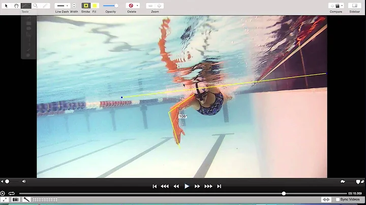 Stroke Analysis: 7 Time World Marathon Swimming Ch...