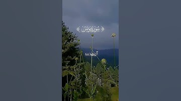 Surah Yunus (سورة يونس) ayat 61