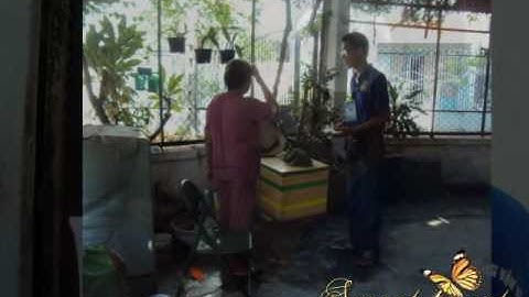 Tiếp Sức Mùa Thi 2010 - P1