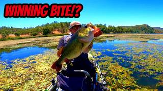 Tournament on Santa Margarita Lake-B.A.S.S.-WWC(Day 2)