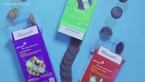 UNE student makes stop-motion videos for Instagram