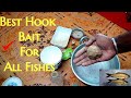💯Sure Best Hook Bait For All Fishes |Fishing Bait in Tamil|Rohu Fish bait|Bait for Lake and River|