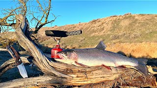 BIG TROUT Fishing & ANIMAL ATTACK on my Property!!! (Catch & Cook)