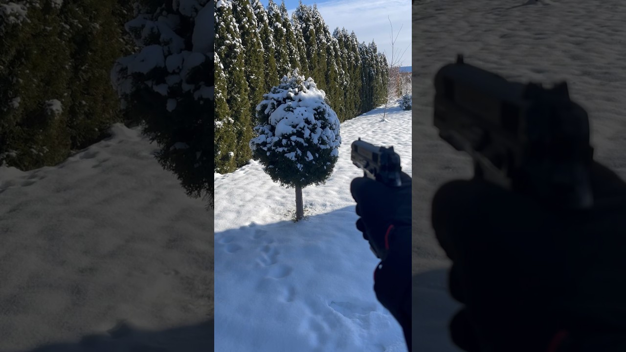 ADDICTIVE GUNSHOTS  - WINTER ❄️ 