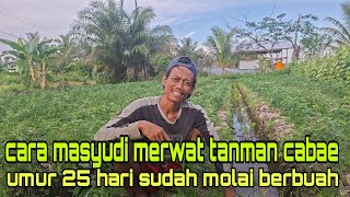 INSPIRATIONAL YOUNG FARMER FROM KENDARI TRANSFORMS TIDAL LAND INTO FARMLAND