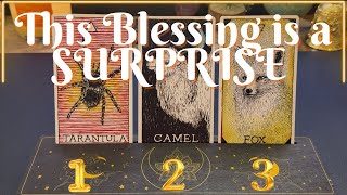 This Blessing Coming Is a SURPRISE 🎉Pick A Card🎉
