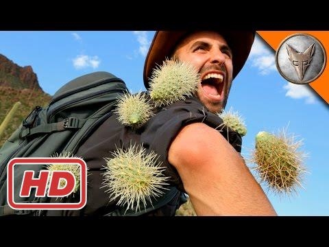 A Dog's Purpose - EXTREME Cactus Attack!