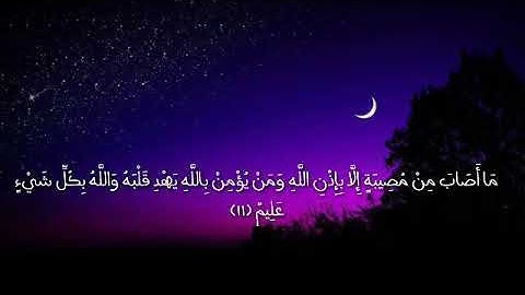 رعد محمد الكردي ما إصابة من مصيبه الا باذن  الله من سورة  التغابن حالات و اتساب قران كريم مؤثر جدا