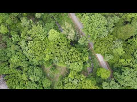 The Pilis from the eyes of a bird