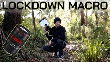 Lockdown Macro Adventure | #Canon EF #100mm & #Raynox DCR-250