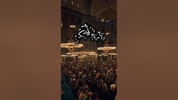 القارئ ريان المحيسني سورة النساء