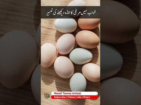 Khwab Mein Murgi Ka Anda Dekhny Ki Tabeer Khwabon Ki Tabeer 345 Khwabonkitabeer