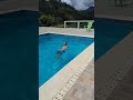 tirando bien rico pisina en compañía de mi familia disfrutando #parati 🙏