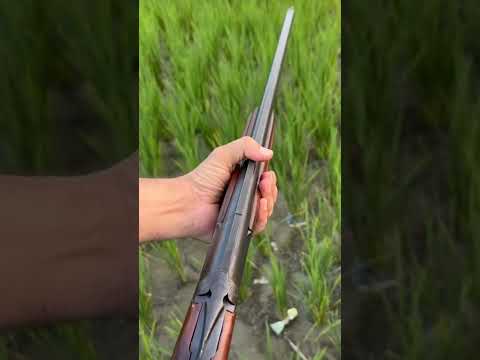 تیراندازی با دولول سوار روسی بایکال      