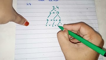 prime factors of 24 by factor tree method