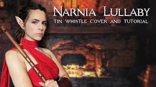 A Narnia Lullaby  Dual Flute Cover & Tin Whistle Tabs Tutorial