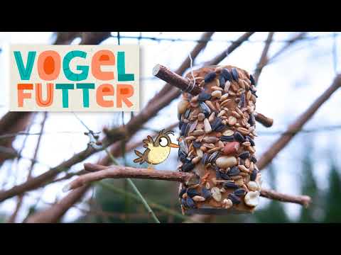Vogelfutter selber machen