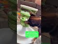Comedero Catit Food Tree - Embajador @midna.chronicles