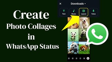 How to Create Photo Collages in WhatsApp Status!