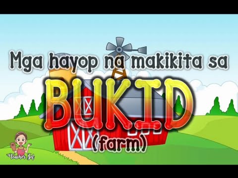 Video: Ang mga hayop sa bukid ay herbivore?