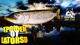 Русская рыбалка 4.🎣оз. Старый Острог 🦈 ЩУКА 🦈 ТРОФЕЙ от LATORSO 👀