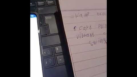 META FORCE & TRUST WALLET