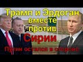 Эрдоган и Трамп вместе против Сирии ! Путин остался в стороне.