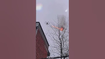 Wasp nest removal using drones