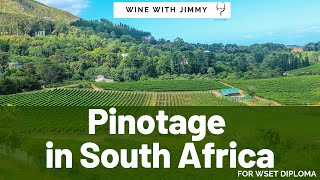 WSET Level 4 D3 South African Pinotage