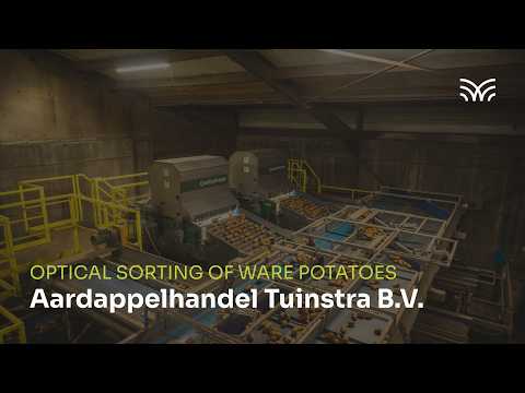 Optical sorting of ware potatoes I Flikweert Vision