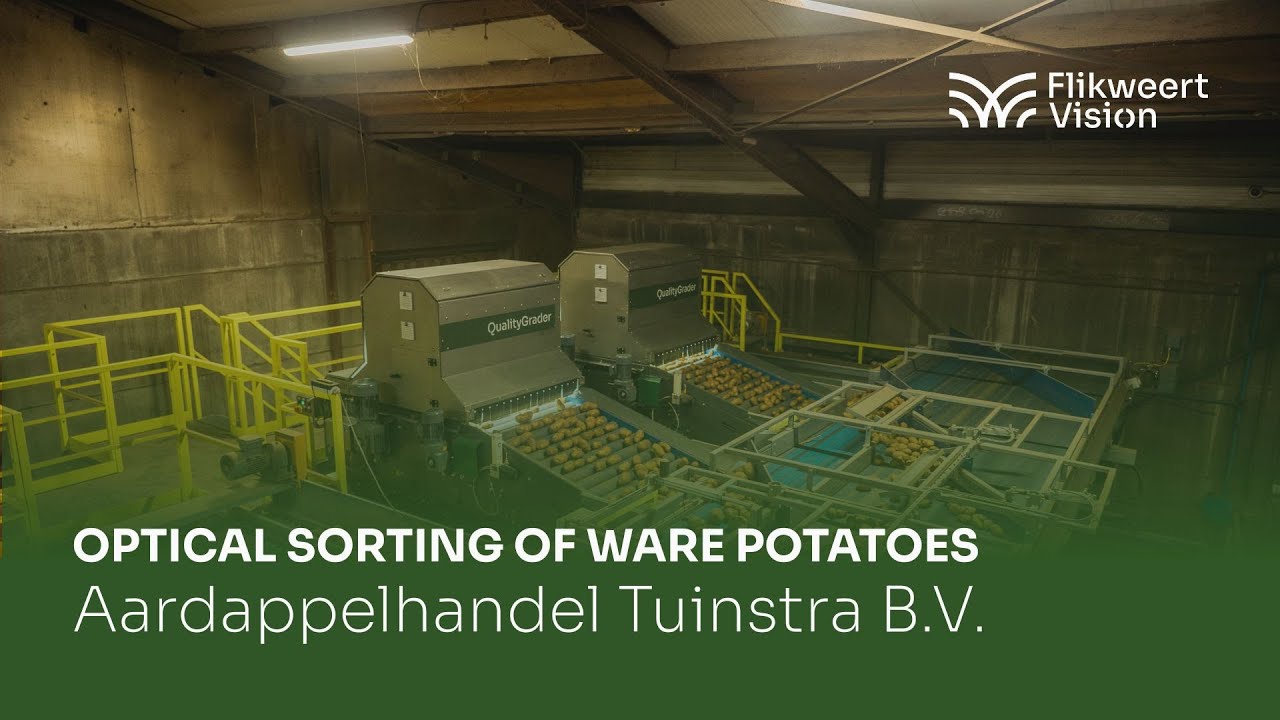 Optical sorting of ware potatoes I Flikweert Vision