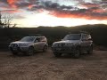 Hyundai Terracan - Nissan X-Trail T30  Lerderberg State Forest - Dreamin' Camping