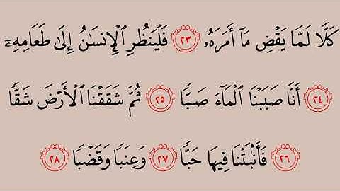 080 سورة عبس