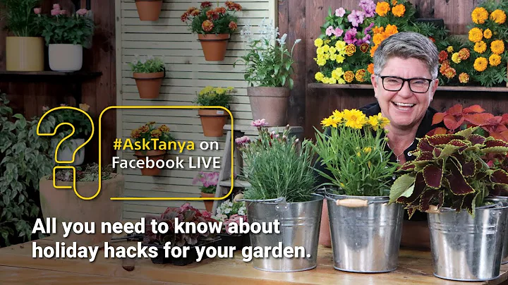 Garden Masterclass LIVE with Tanya Visser