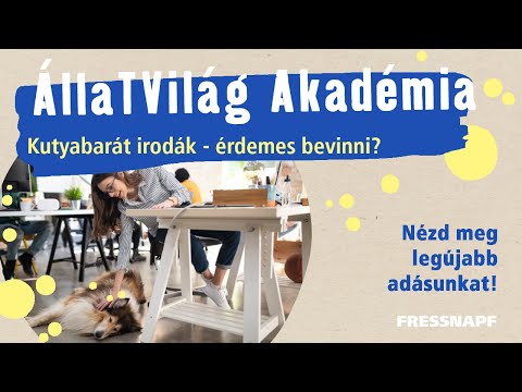 Videó: A legjobb tengerimalac-étrend