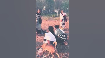 Buổi khất thực cuối cùng của sư minh tuệ tại lào rồi qua thái lan #suminhtue