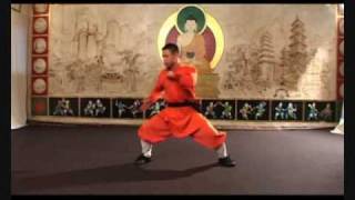 Shaolin Forms (Taolu)