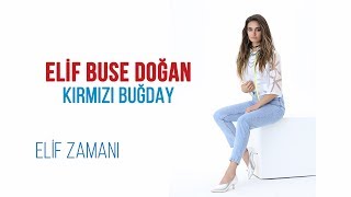 Elif Buse Doğan - Kırmızı Buğday Resimi