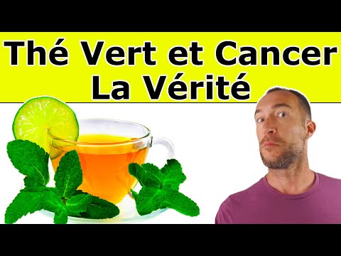 Le THÉ VERT Protège Du CANCER : Vrai ou Faux ? (et pourquoi)