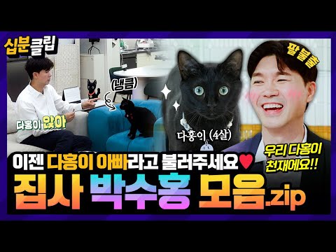 [#십분클립] 보기만해도 힐링❤️ 다홍이의 아빠가 된 박수홍 모음집🐈 힘든 시간 속에 큰 위로가 되준 반려묘와의 일상✨️ㅣ KBS방송