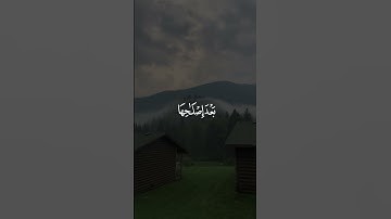 تلاوة مباركة لسورة الأعراف