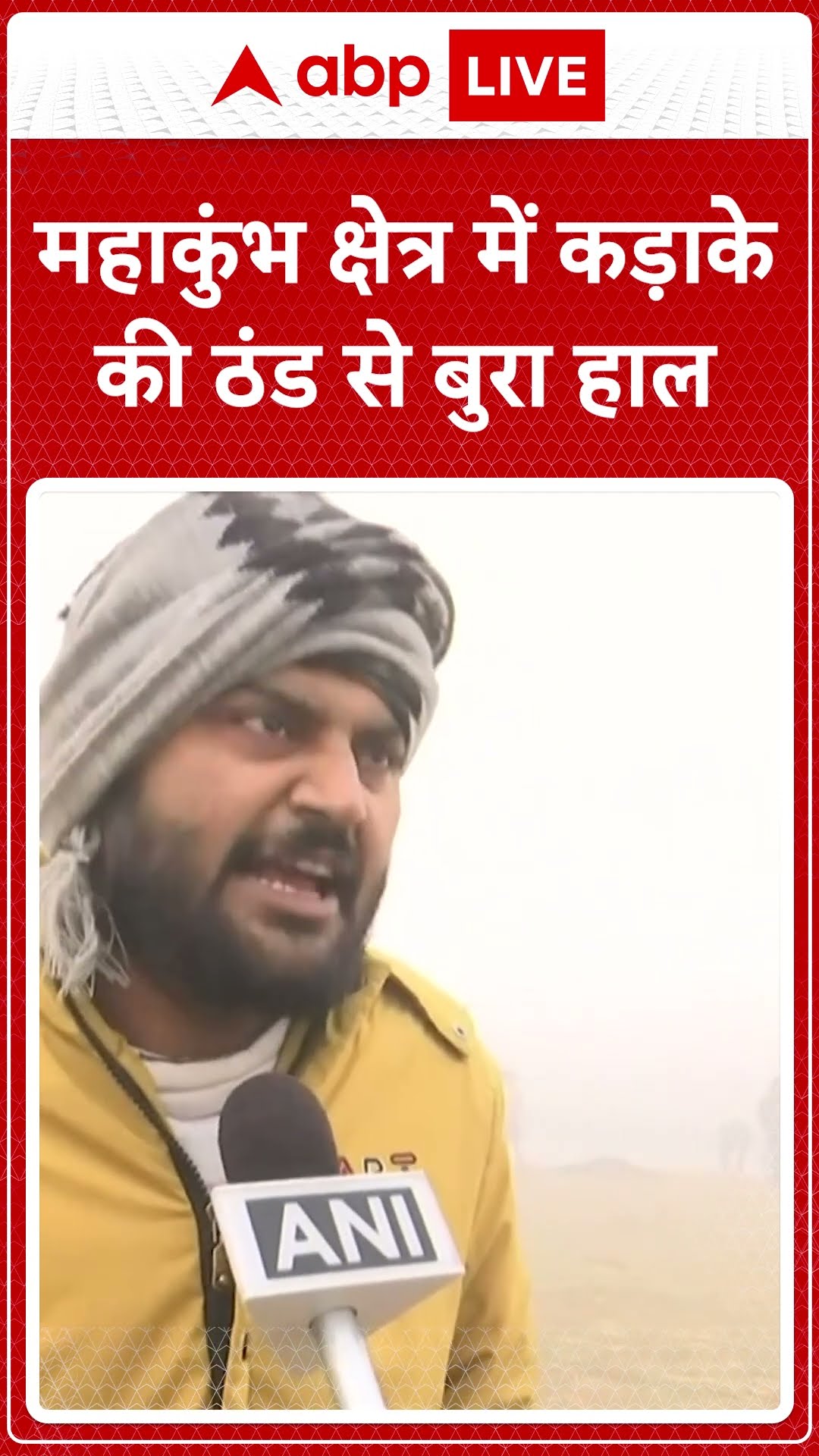 Mahakumbh 2025: Prayagraj क्षेत्र में कड़ाके की ठंड से हुआ बुरा हाल, छायी धुंध चारो ओर | ABP LIVE |