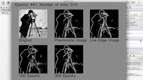 Image edge detection inspired by Ant Colony Optimisation Systems